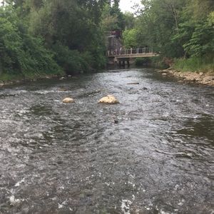 Meet your Posher, Kay